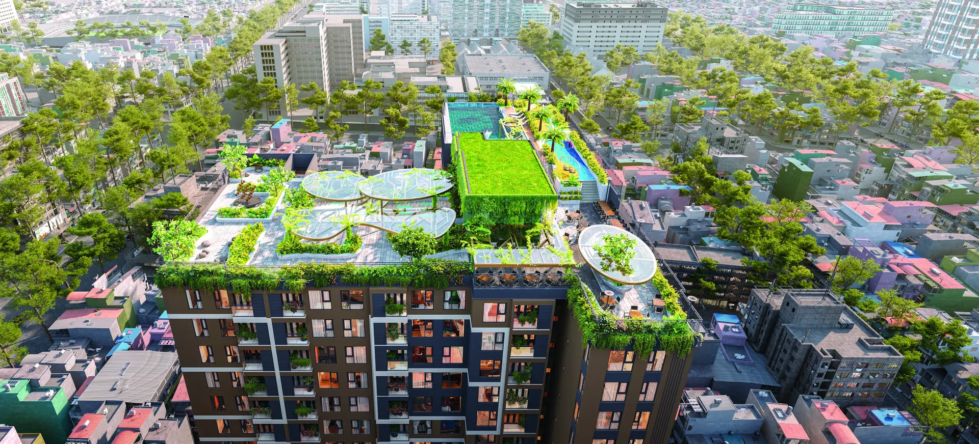Dự án Legacy 66 tại 66 Tân Thành, khu Chợ Lớn